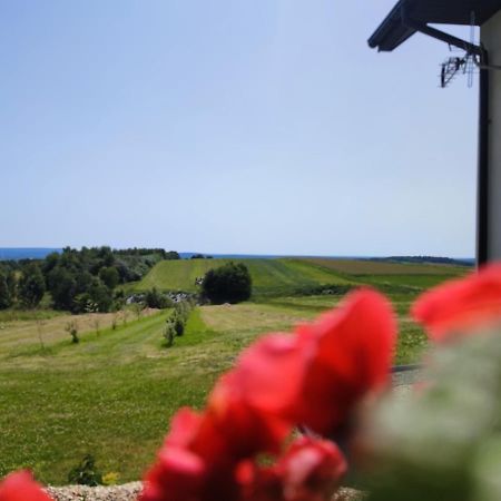 Krajno Pierwsze Agroturystyka Zdolina المظهر الخارجي الصورة